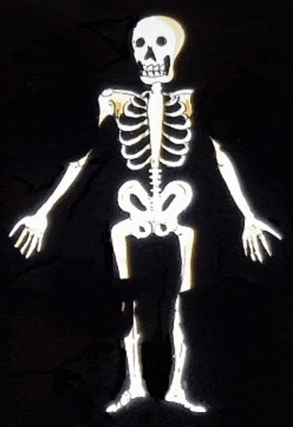 skeleton